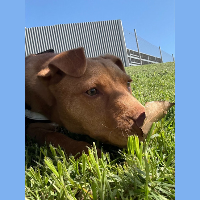 Photo of Benny