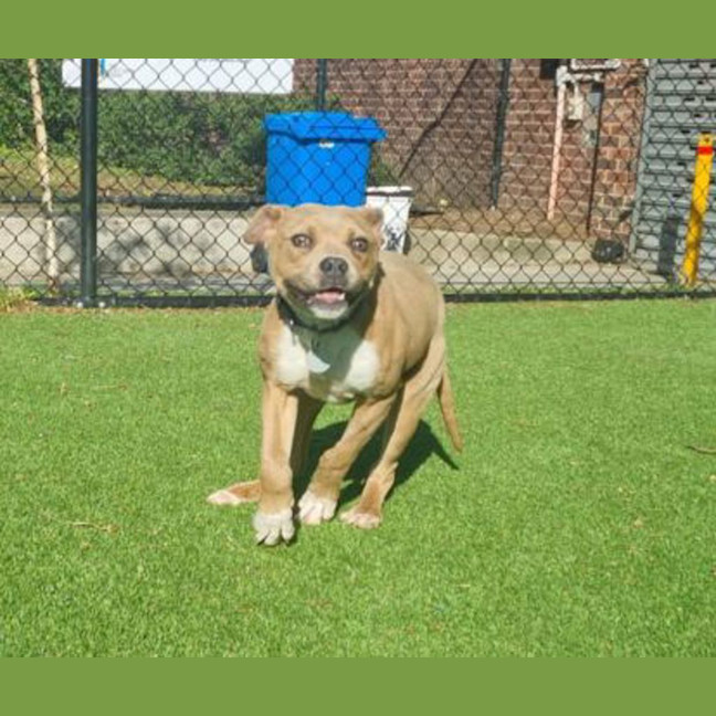 Photo of Hazel