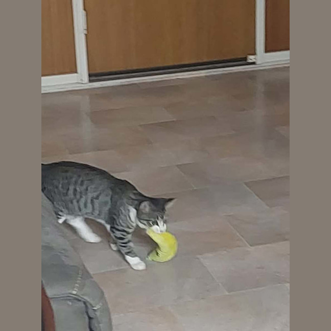 Photo of Sofie