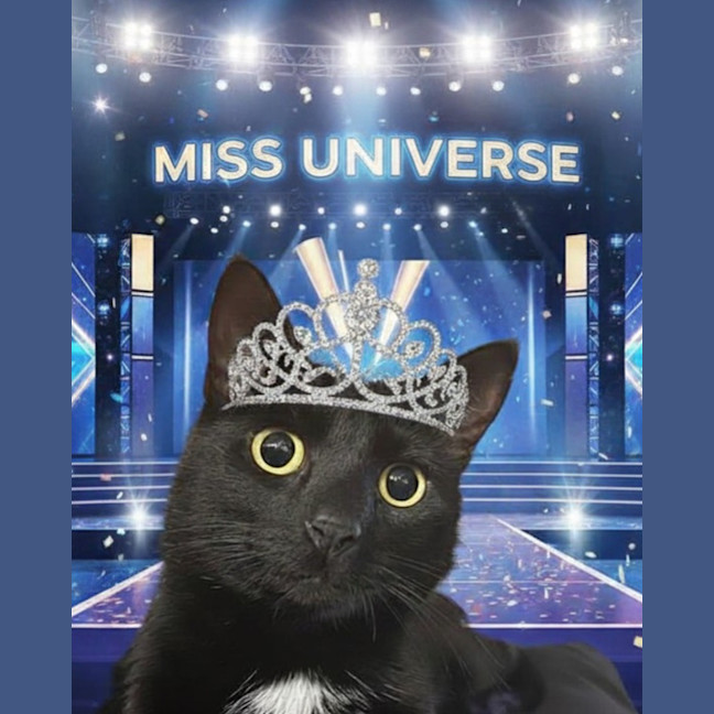 Photo of Miss Universe 2026 💅🩷🌏