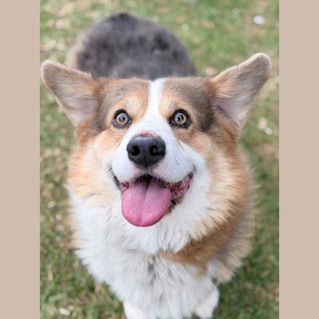 Photo of Duke