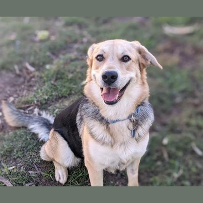 Photo of Hera