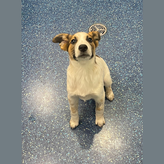 Photo of Sprout 