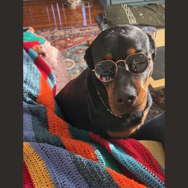 Photo of Enzo 