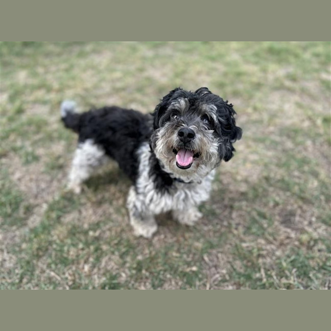 Photo of Libby & Jack