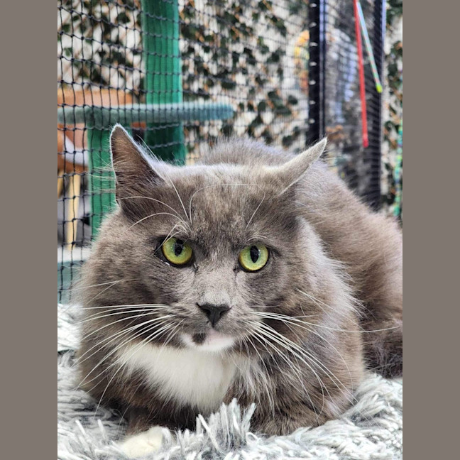 Photo of ✈ Reuben 5603 ✈