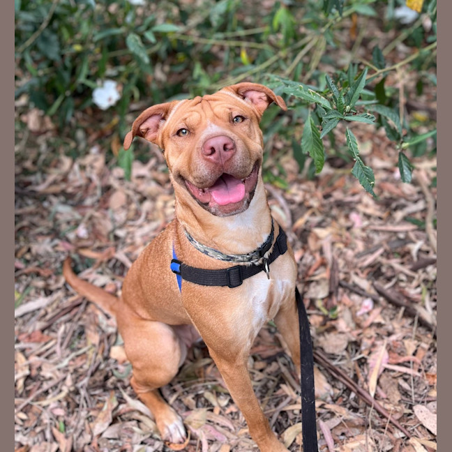 Photo of Ember