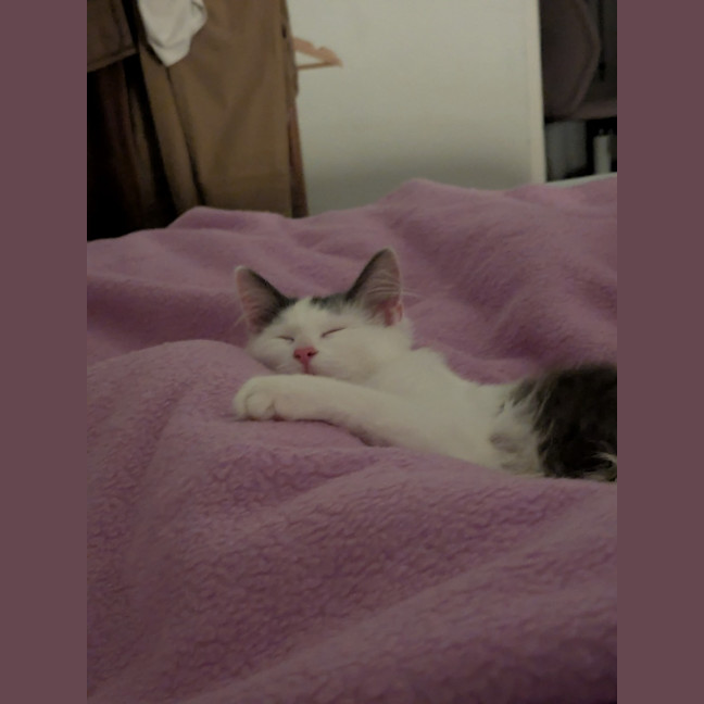 Photo of Popcorn