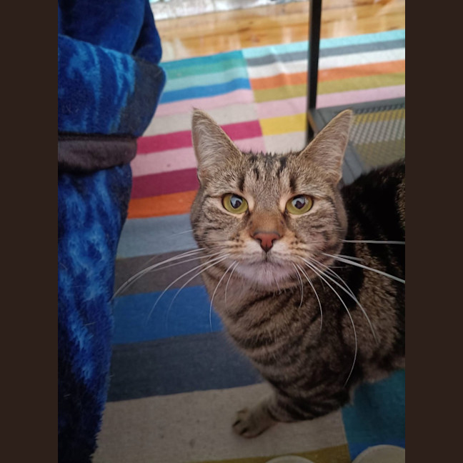 Photo of Pepper
