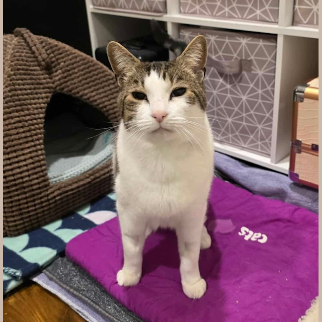 Photo of Jimmy! ❤️ 