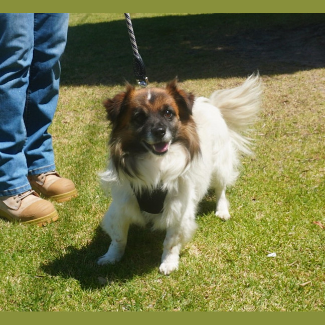 Photo of Bodie