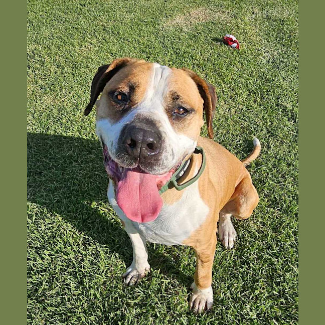 Photo of Ralph