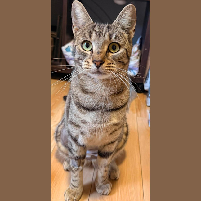 Photo of Lulu