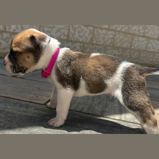 Photo of Tiny