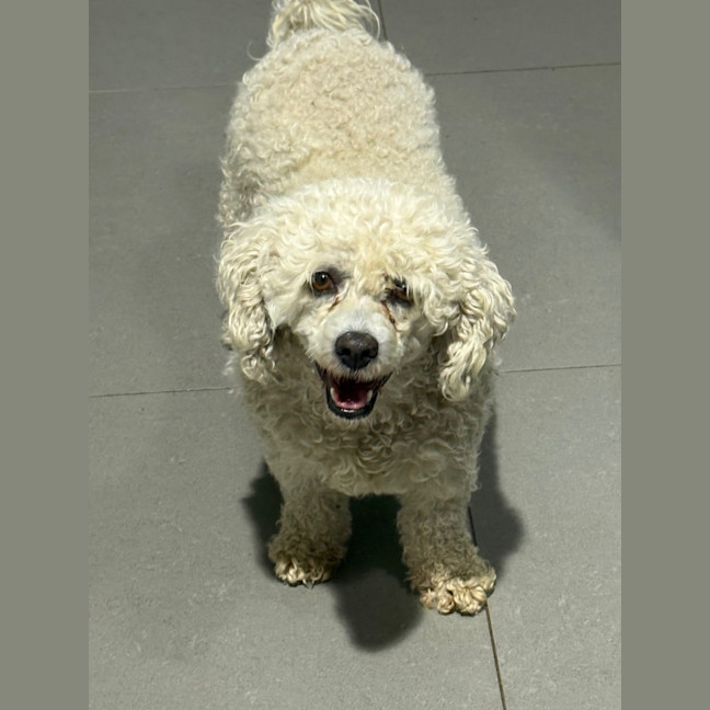 Photo of Mia