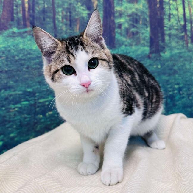 Photo of Garry   Located In Preston