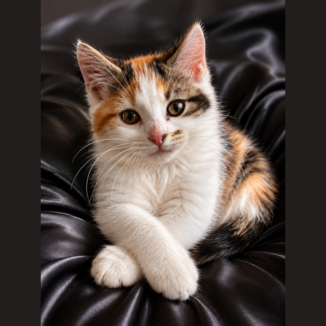 Photo of Nancy