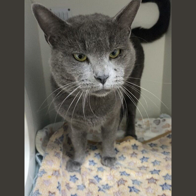 Photo of Roscoe