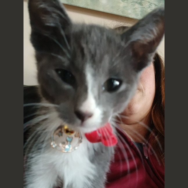 Photo of Riot