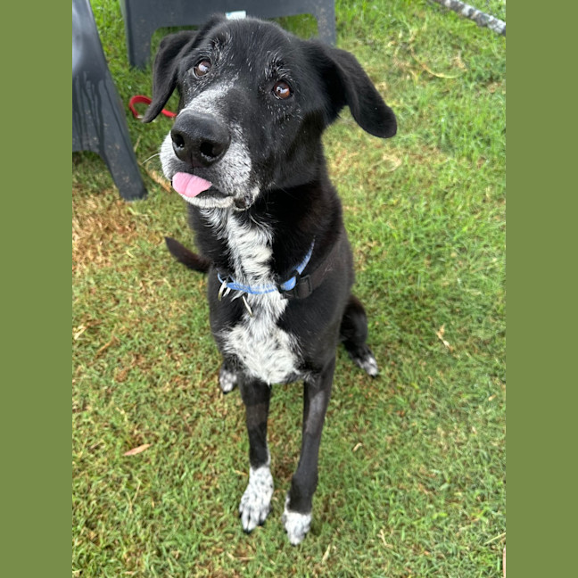 Photo of Turbo