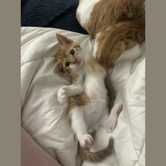 Photo of Elodie & Etienne