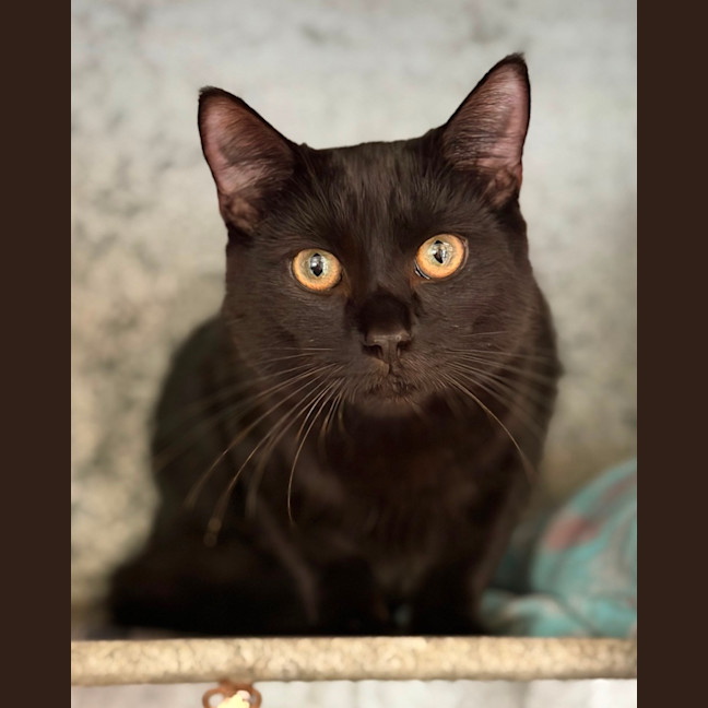 Photo of Lloyd