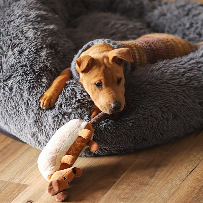 Photo of Ellie