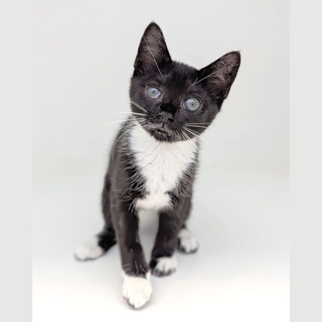 Photo of Wilma