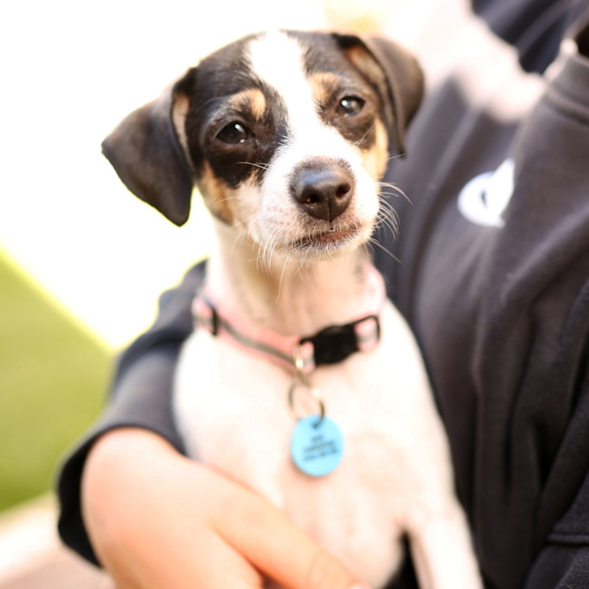 Photo of Jive