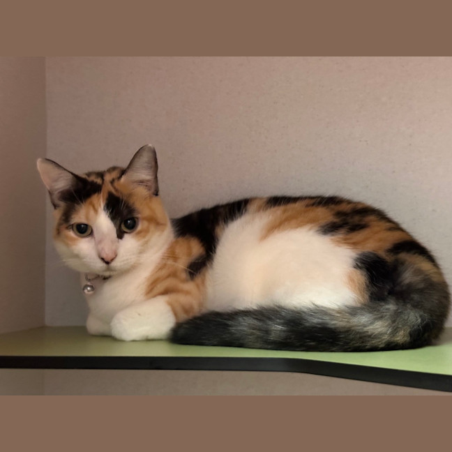 Photo of Tabitha