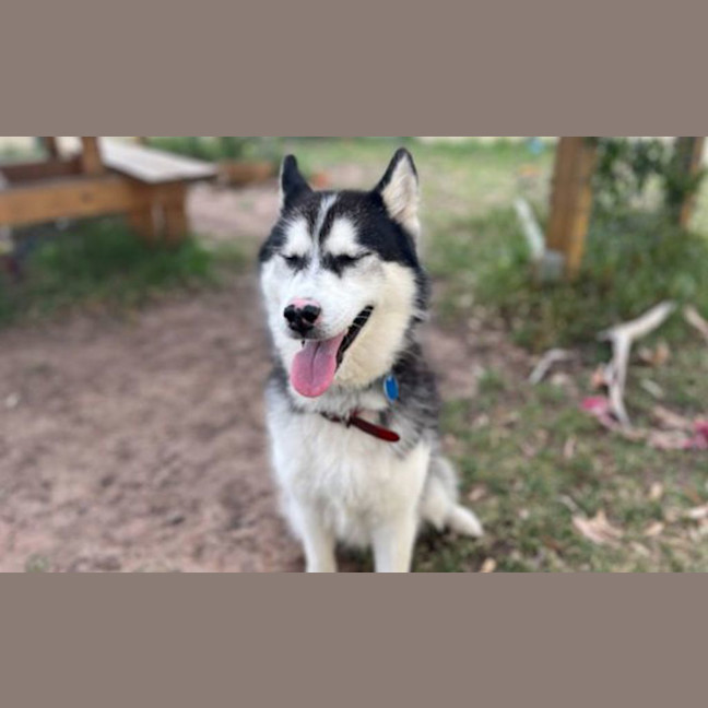 Photo of Tiny Tina