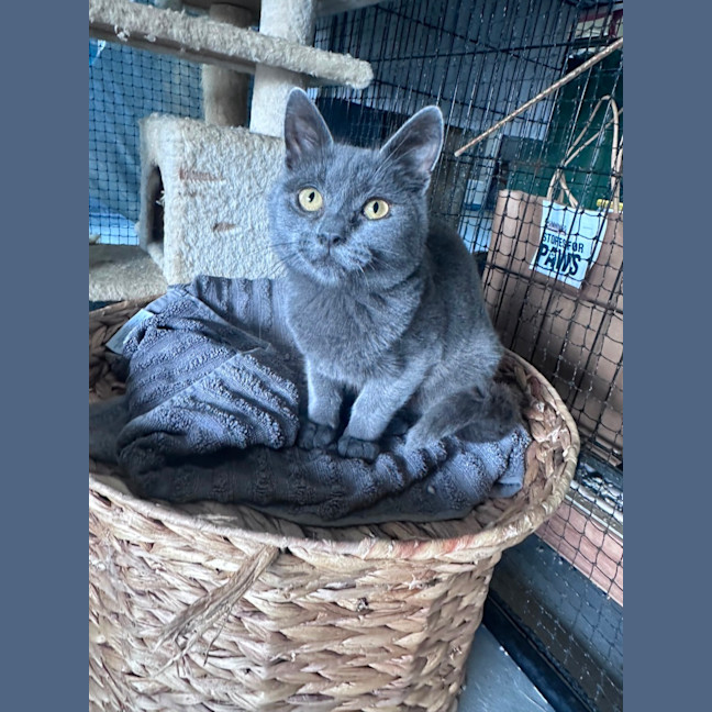 Photo of Victor 