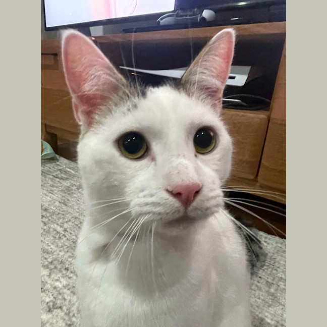 Photo of Wilson 🤍