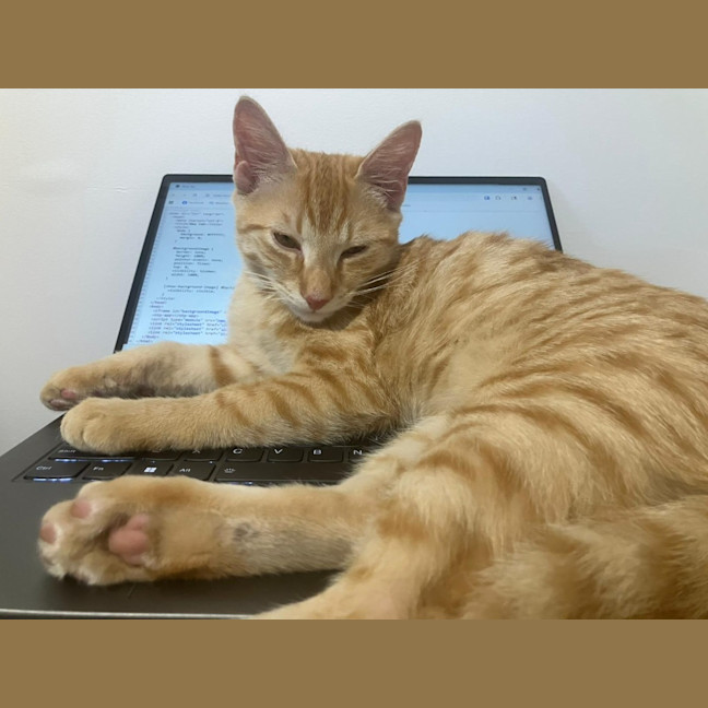 Photo of Cheerio