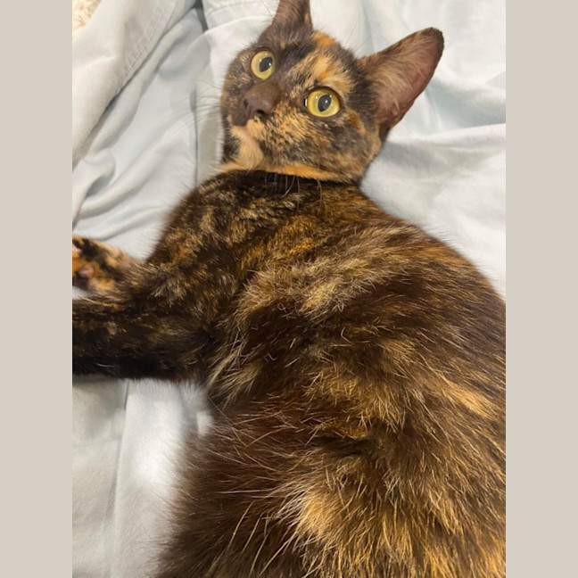 Photo of Minky
