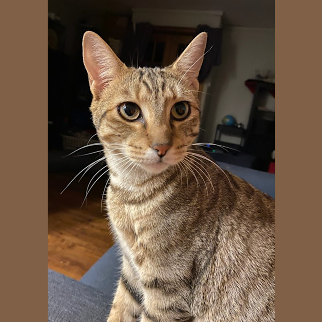 Photo of Narla