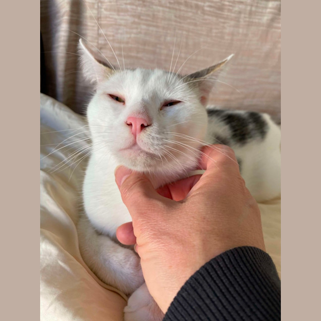 Photo of Wilson 🤍