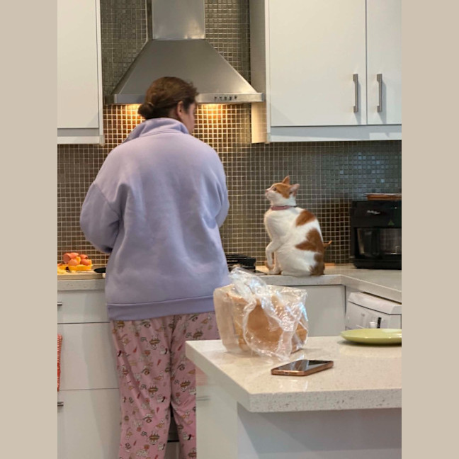 Photo of Miss Cashew Nutz