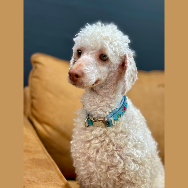 Photo of Winny