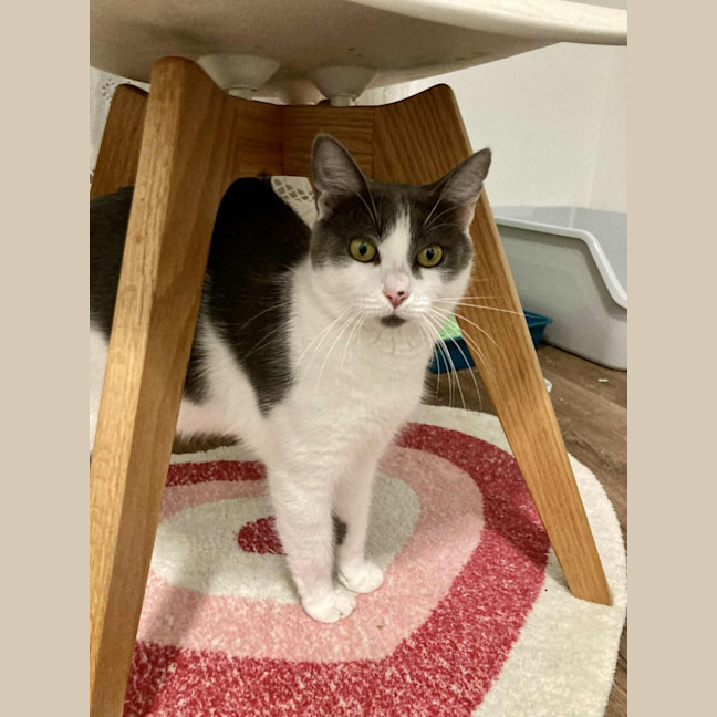 Photo of Delilah