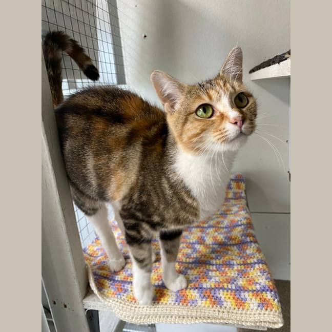 Photo of Ariel   Burnie