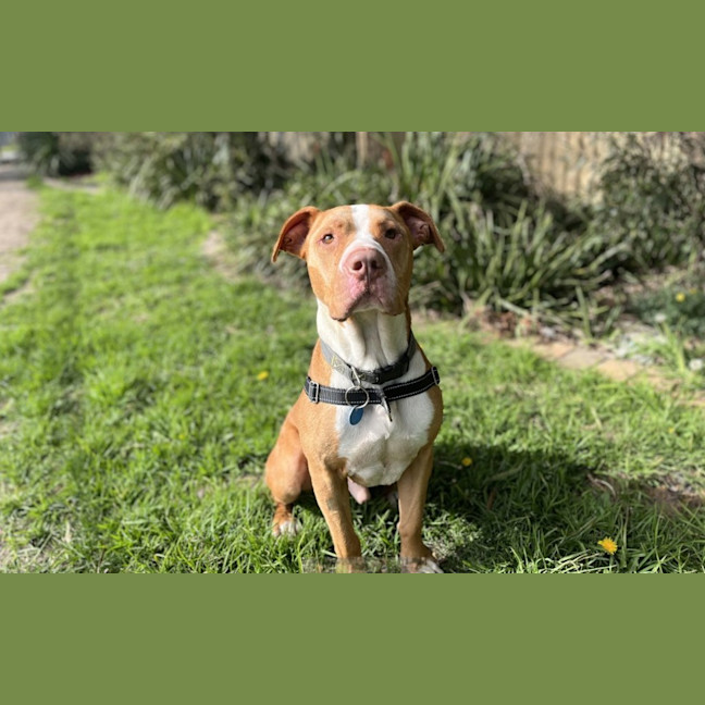 Photo of Wally