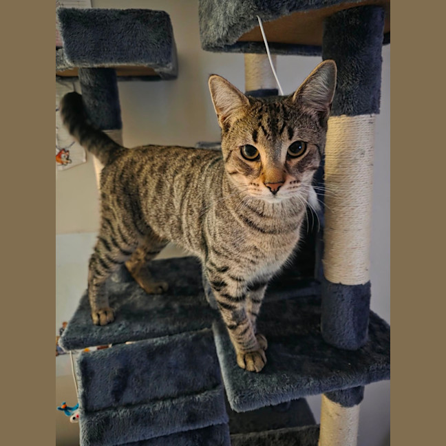 Photo of Chase