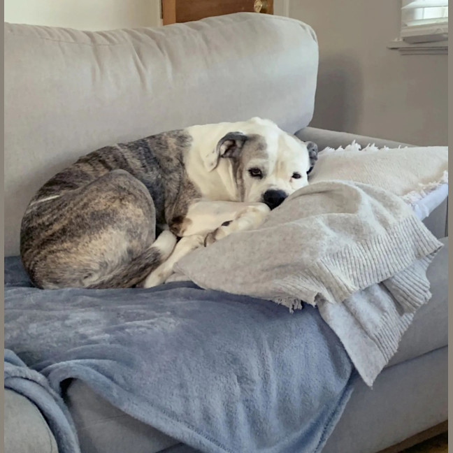 Photo of Missy