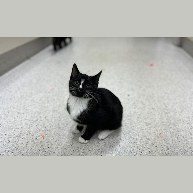 Photo of Storm