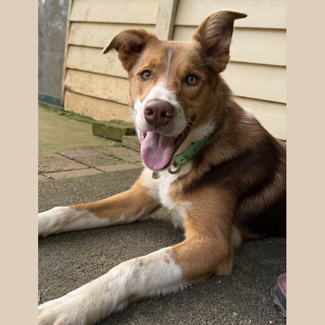 Photo of Jett