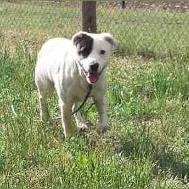 Photo of Captain Feathersword