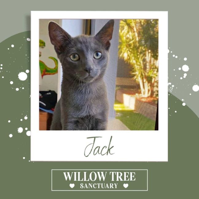Photo of Jack