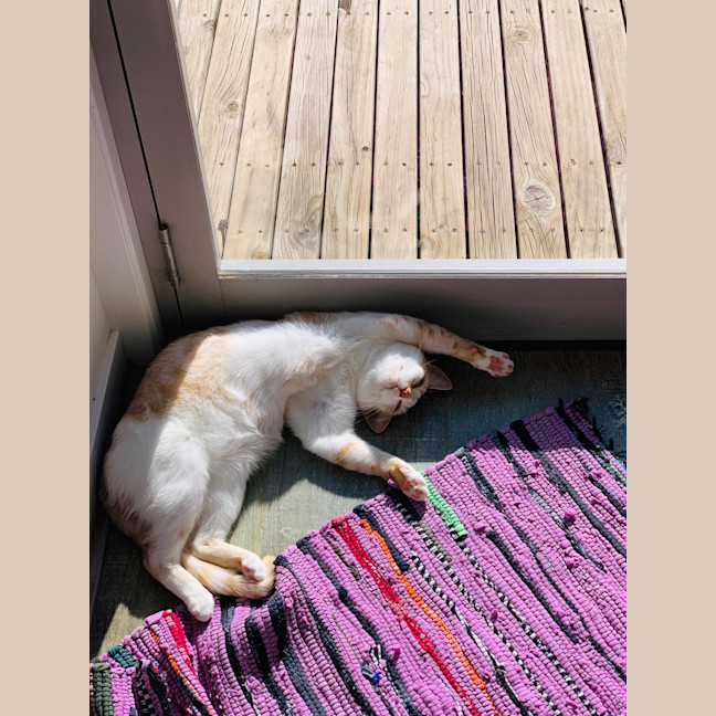 Photo of Freja