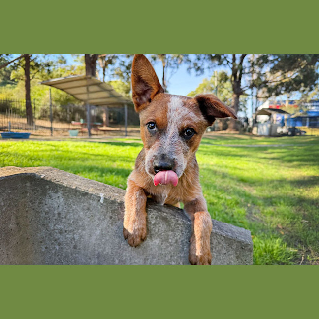 Photo of Larry